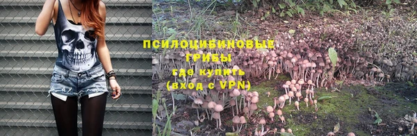 шишки Гатчина