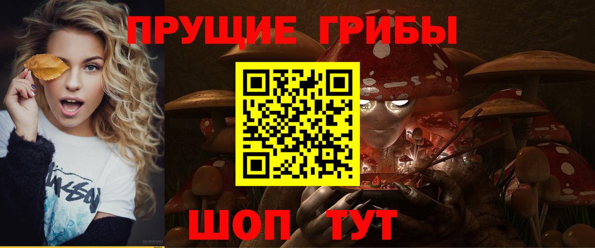 Ишим  Псилоцибиновые грибы прущие грибы  Вход с VPN 